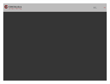 Tablet Screenshot of coscollola.com